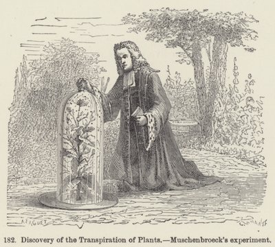 Discovery of the Transpiration of Plants, Muschenbroeck