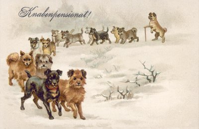 Dog Postcard by European School