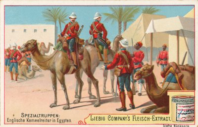 English Soldiers on Camels by European School
