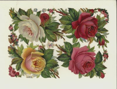 Flowers by European School