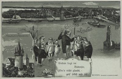 Frog Concert at Lindau by European School