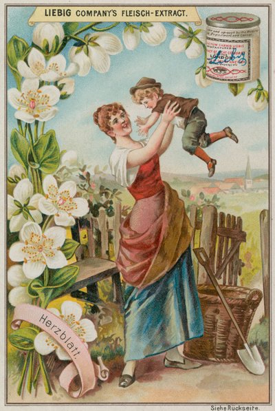Grass of Parnassus by European School