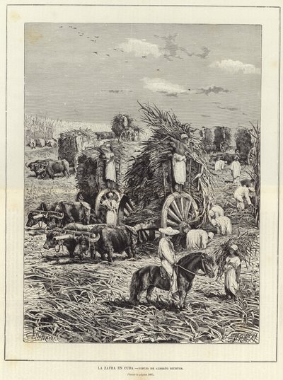 Harvest in Cuba by European School