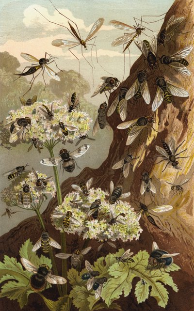 Dominion of the Flies by European School