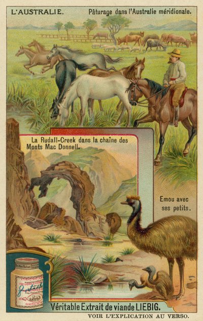 Horses at Pasture, Ridells Creek in the MacDonnell Mountains and an Emu with Its Young by European School