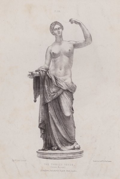Illustration for The Anatomy of the External Forms of Man: The Townley Venus, British Museum by European School
