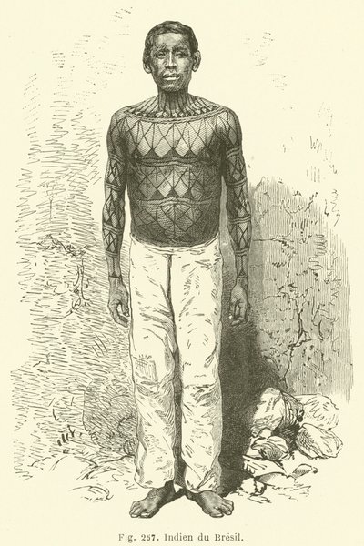 Brazilian Indian by European School