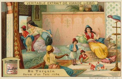 Inside the harem of a rich Turk by European School