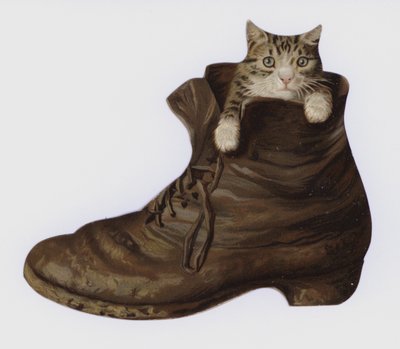 Kitten in a Boot by European School