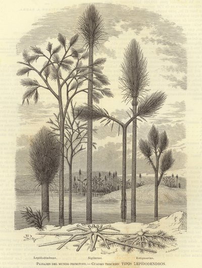 Landscapes of the Primitive World by European School
