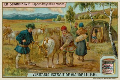 Laplanders Milking Reindeer by European School
