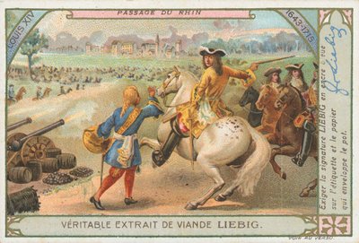 Louis XIV Crossing the Rhine by European School