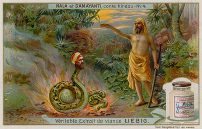 Nala Saves the Snake Naga Karkotaka by European School