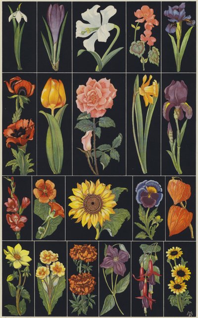 Page from Children