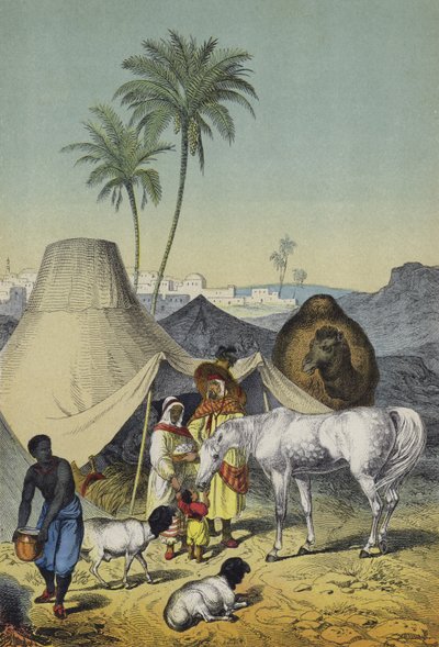 People, animals and plants of North Africa and Arabia by European School