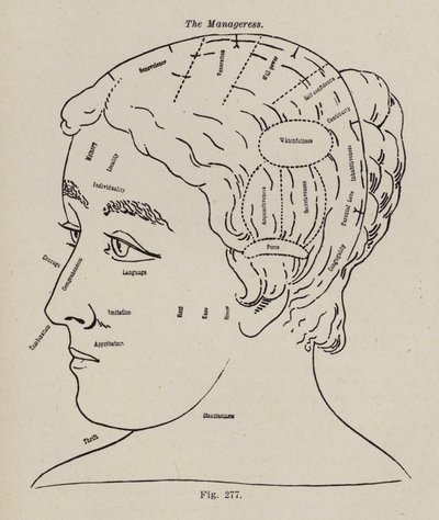 Phrenology, A Manageress by European School
