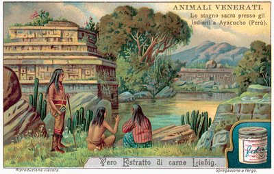 Pool of Sacred Fish at Ayacucho, Peru by European School