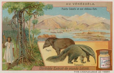 Puerto Cabello and its Fort with a Tapir and an Anteater by European School