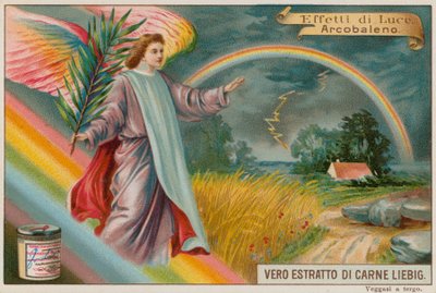 Rainbow by European School