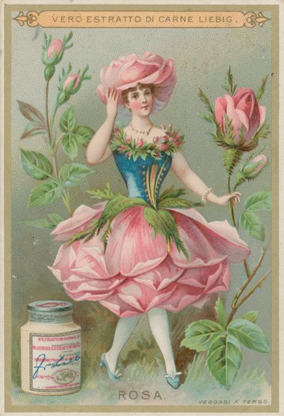 Rose Flower Girl by European School