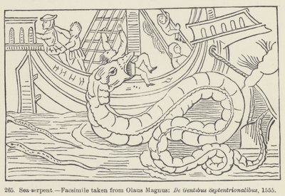 Sea-serpent by European School