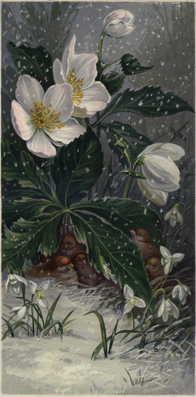 Sparrows Sheltering from the Snow Beneath a Flowering Plant by European School