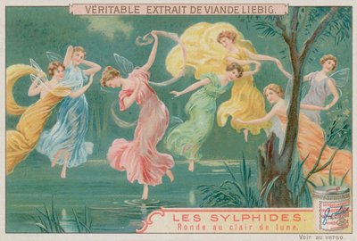 Sylphs Dancing in Moonlight by European School