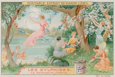 Sylphs and a Flower Swing by European School