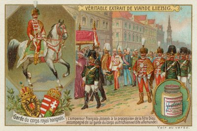 The Bodyguard of the Emperor of Hungary by European School