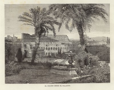 The Colosseum from the Palatine by European School