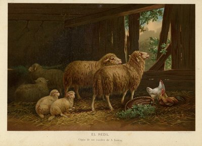 The Flock by European School