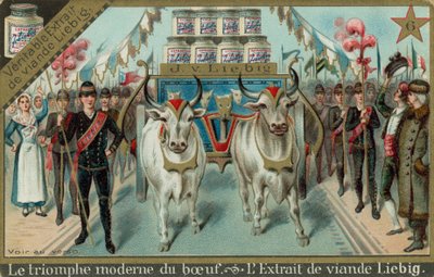 The Modern Triumph of Beef by European School