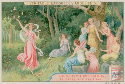 The Sylphs Dance with Butterflies by European School