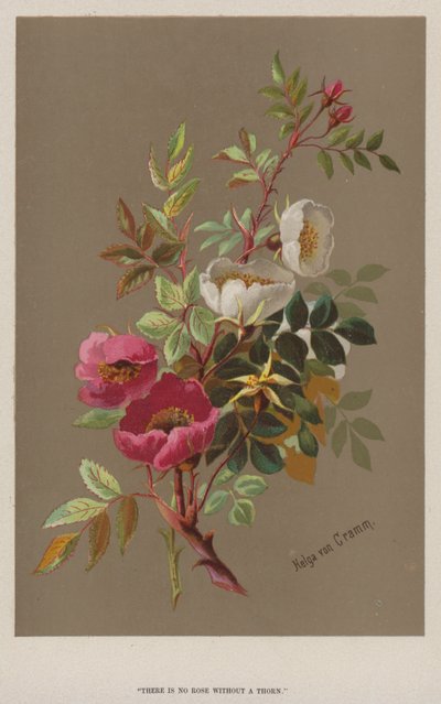 There is no rose without a thorn by European School