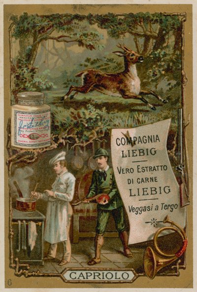 Venison by European School
