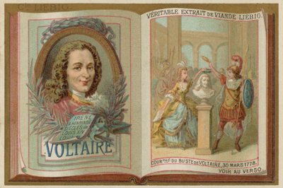 Voltaire by European School