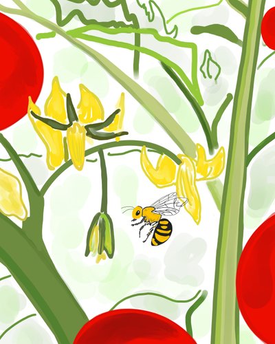 Bee on Vine by Evan Sklar