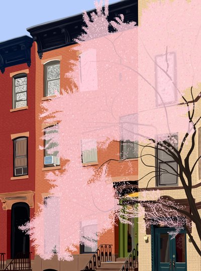 Cherry Blossoms, 7th Street by Evan Sklar