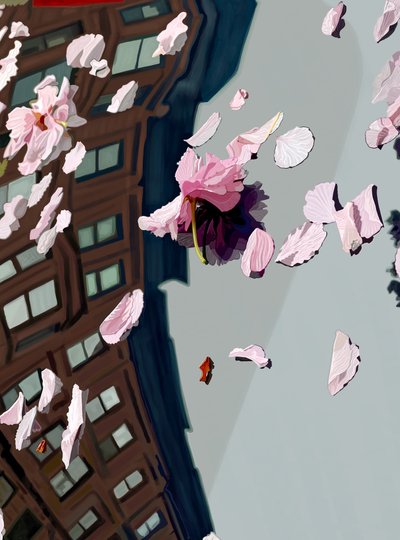 Cherry Blossoms Blown On Car Windshield by Evan Sklar