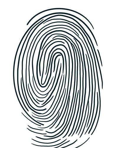 Drawing of a Fingerprint, Brooklyn by Evan Sklar