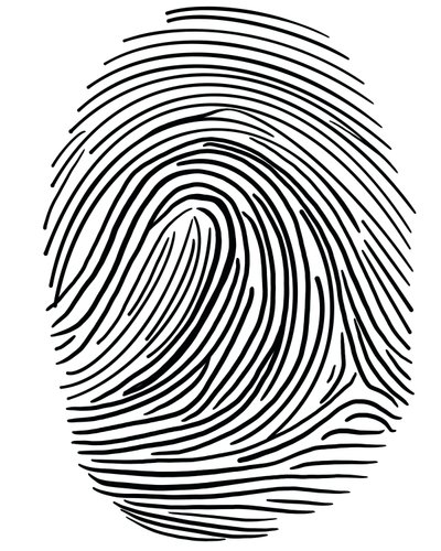 Drawing Of A Finger Print Brooklyn by Evan Sklar