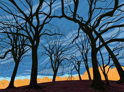 Grove of Elm Trees in Early Winter by Evan Sklar