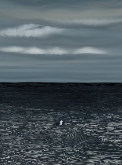 Gull Floating On Water and Stormy Sky by Evan Sklar