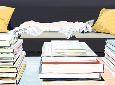 Minnie On Couch with Books, c.2020-24 by Evan Sklar