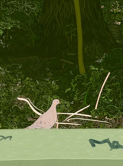 Mourning Dove On Wall of Prospect Park by Evan Sklar