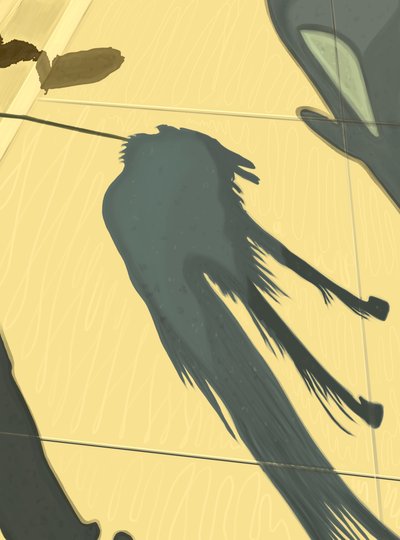 Spilled Coffee and Dog Shadow on Sidewalk, Brooklyn by Evan Sklar