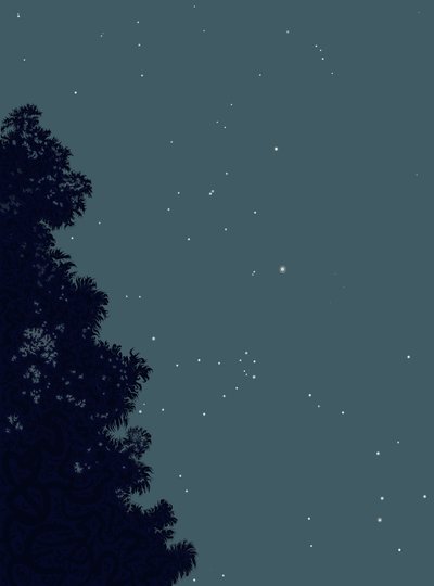 Tree and Stars At Night by Evan Sklar