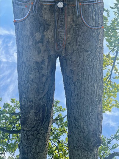 Upside Down Tree as Blue Jeans by Evan Sklar