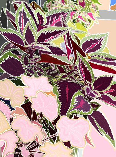 Window Box with Coleus and Coral Bells by Evan Sklar