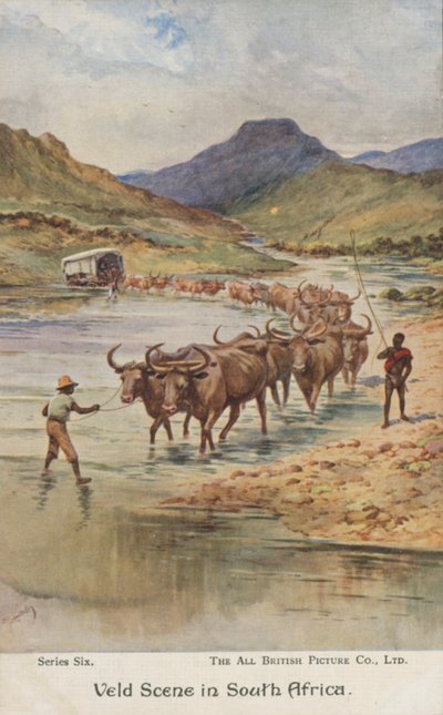 Farmers droving cattle, South Africa by Evelyn Stuart Hardy